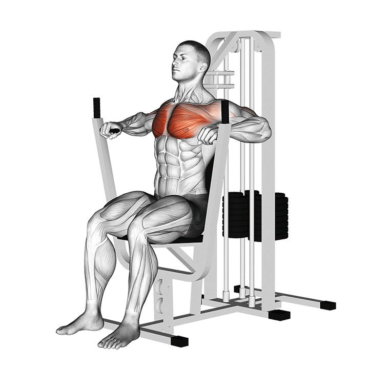 Chest Press (Machine)