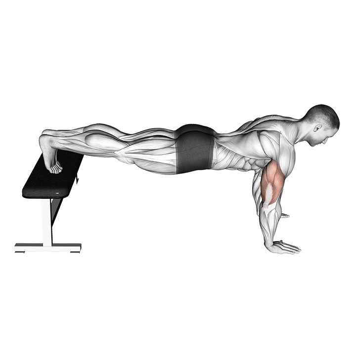 Decline Push Up