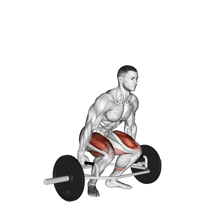 Trap Bar Deadlift (Barbell)