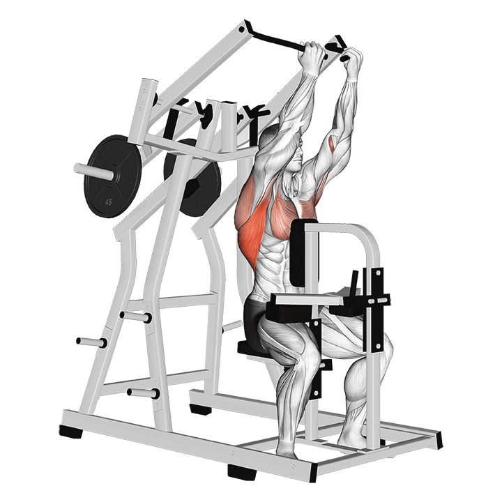 Reverse Grip Lateral Pulldown (Machine)